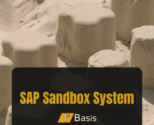 SAP Sandbox System