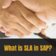 SLA in SAP