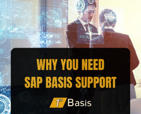 Why you need SAP Basis