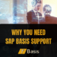 Why you need SAP Basis